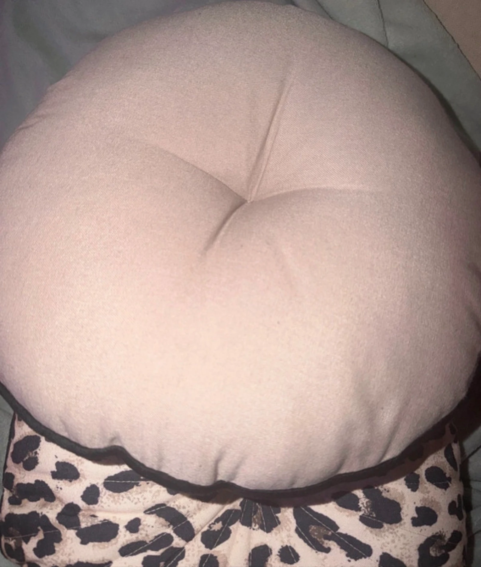 2 leopard print cushions  – photo 4